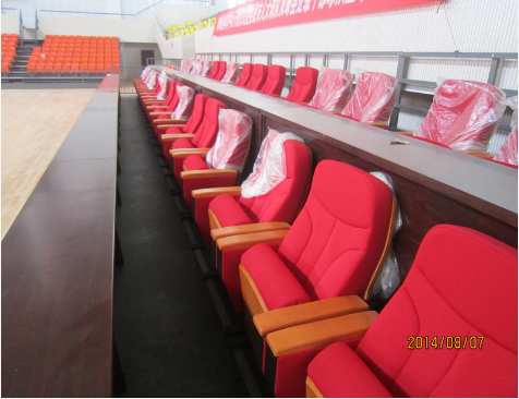湖南省運(yùn)會(huì)場館之雙峰體育中心看臺(tái)