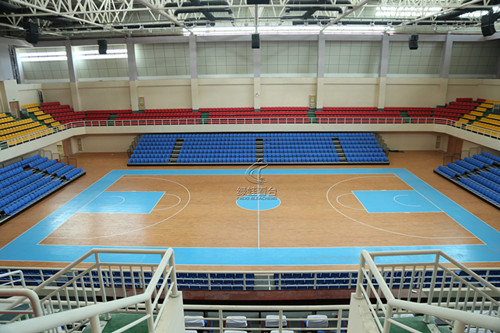 江西崇仁一中體育館看臺(tái)座椅